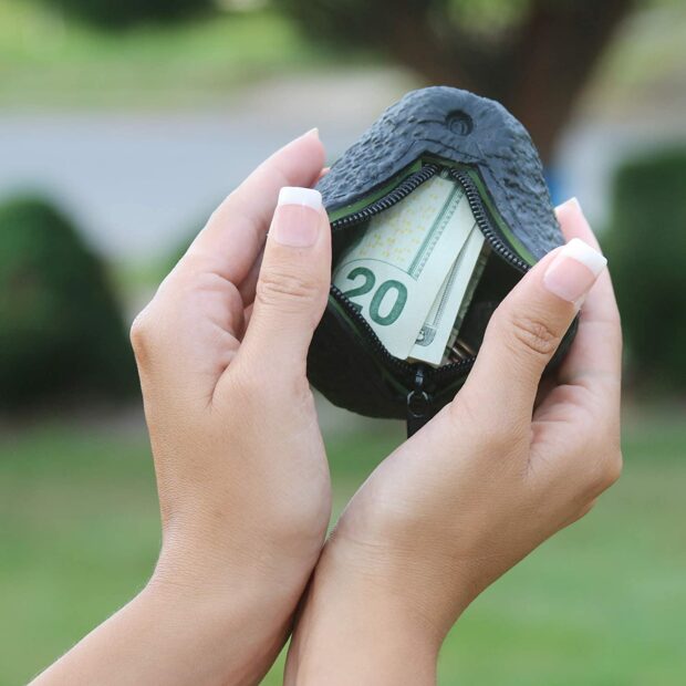 Avocado Coin Purse