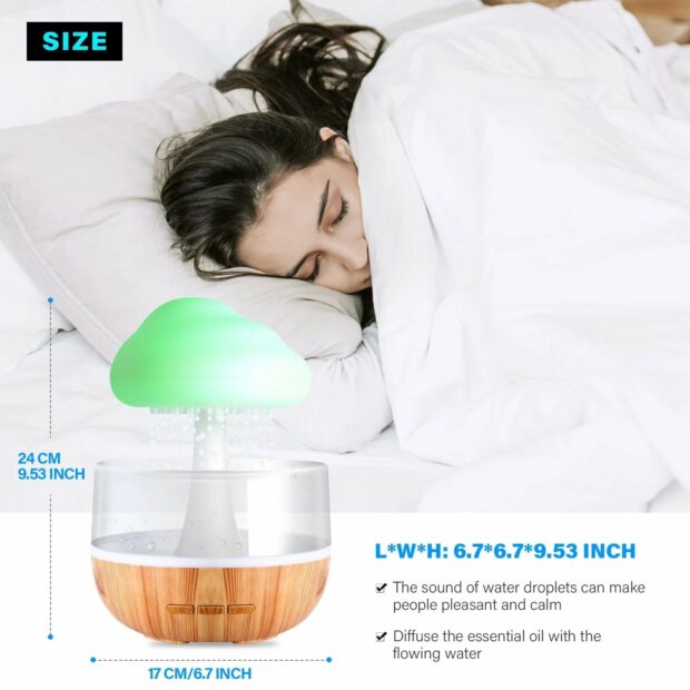 Rainfall Humidifier