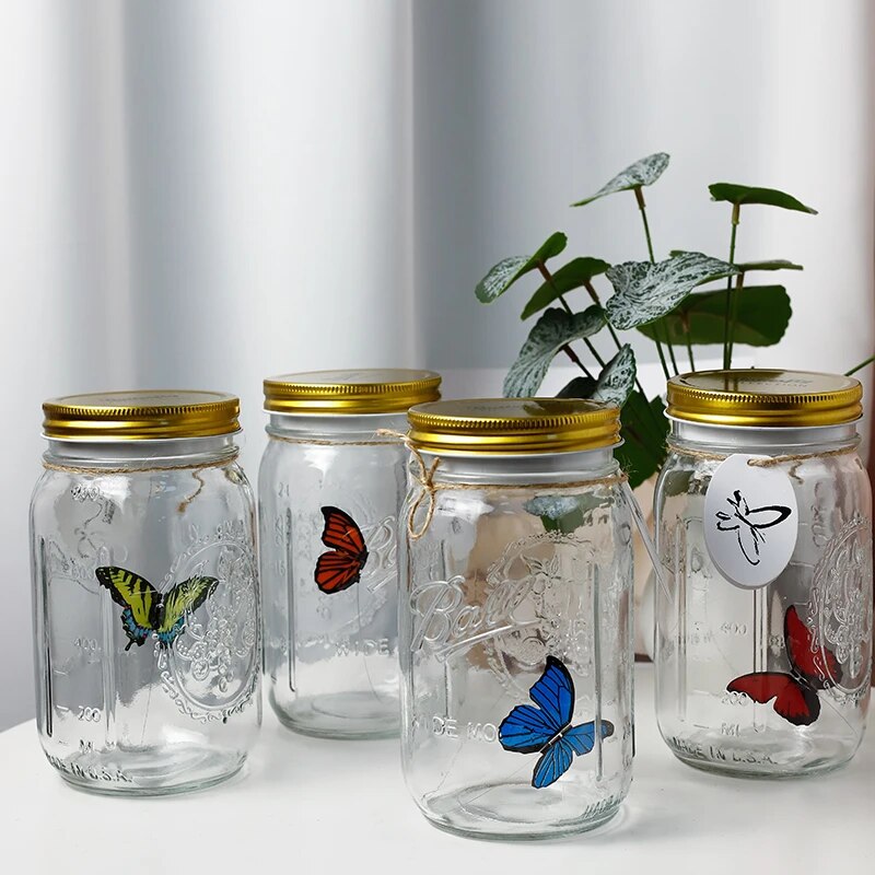 Butterfly in A Jar